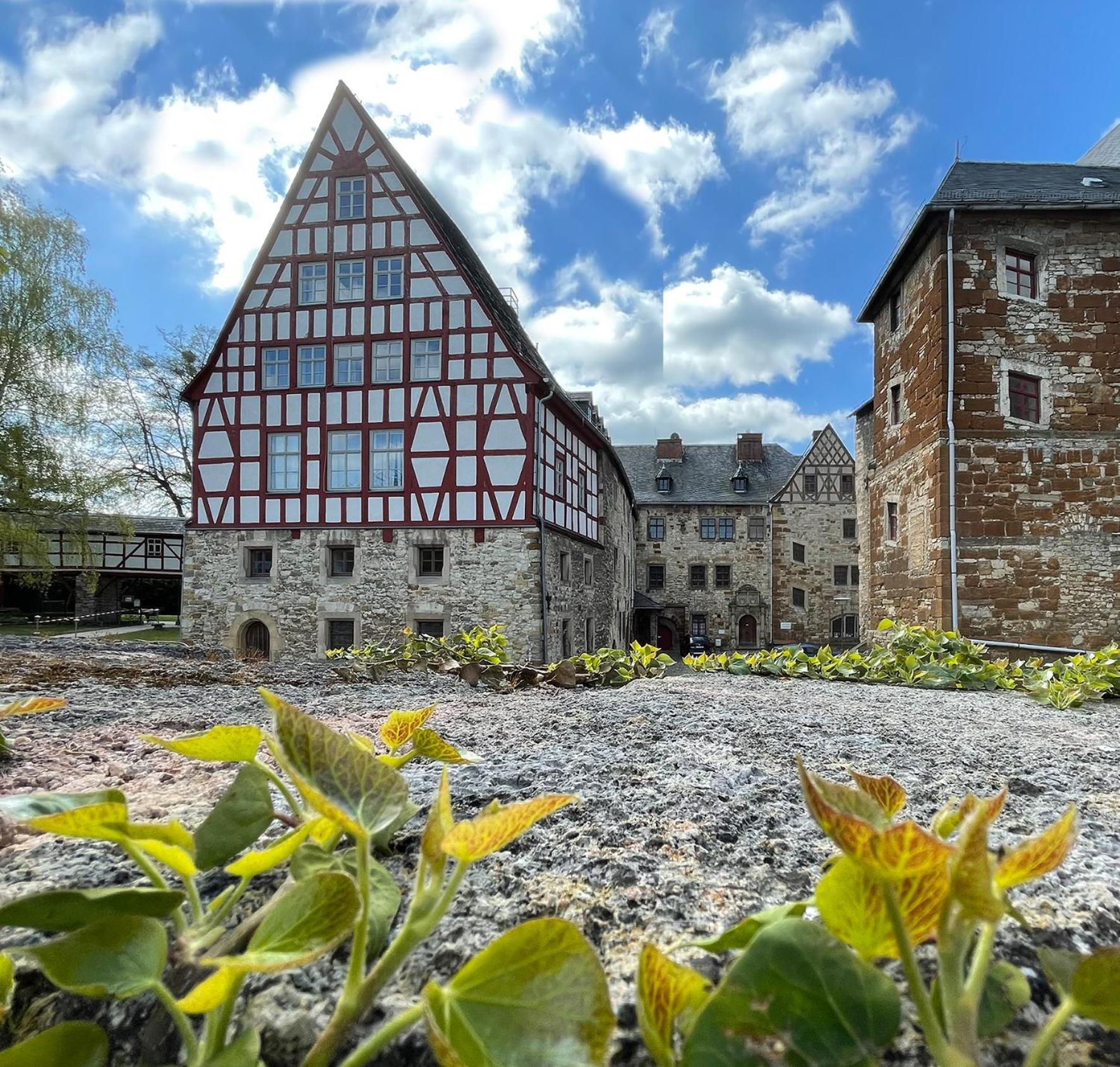 Schloss Beichlingen ภายนอก รูปภาพ