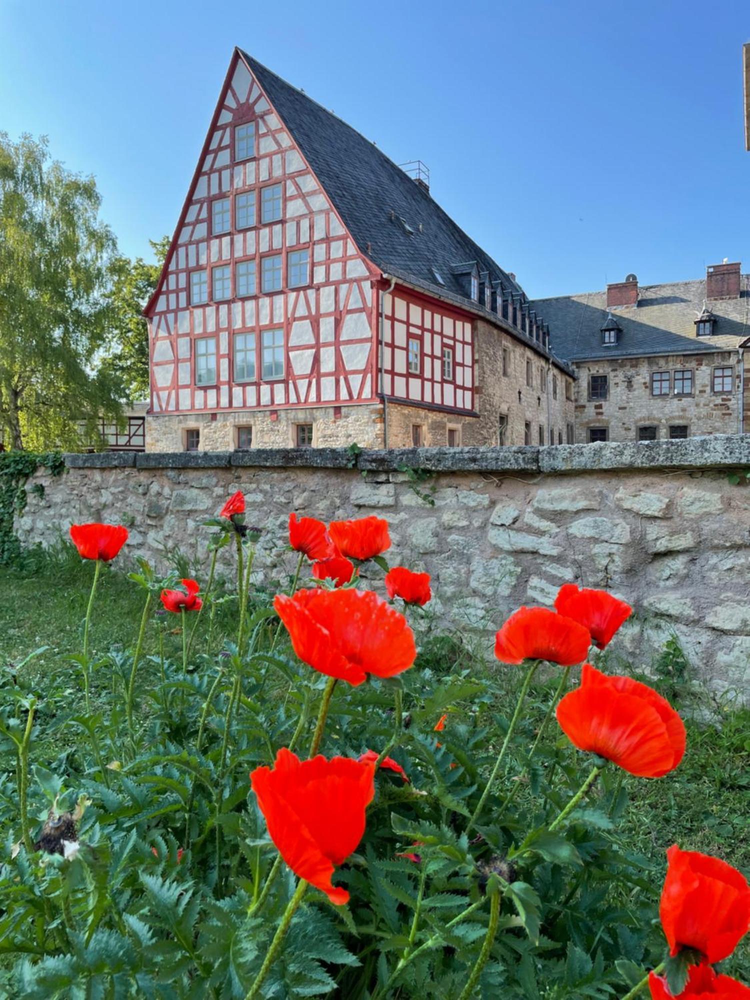 Schloss Beichlingen ภายนอก รูปภาพ