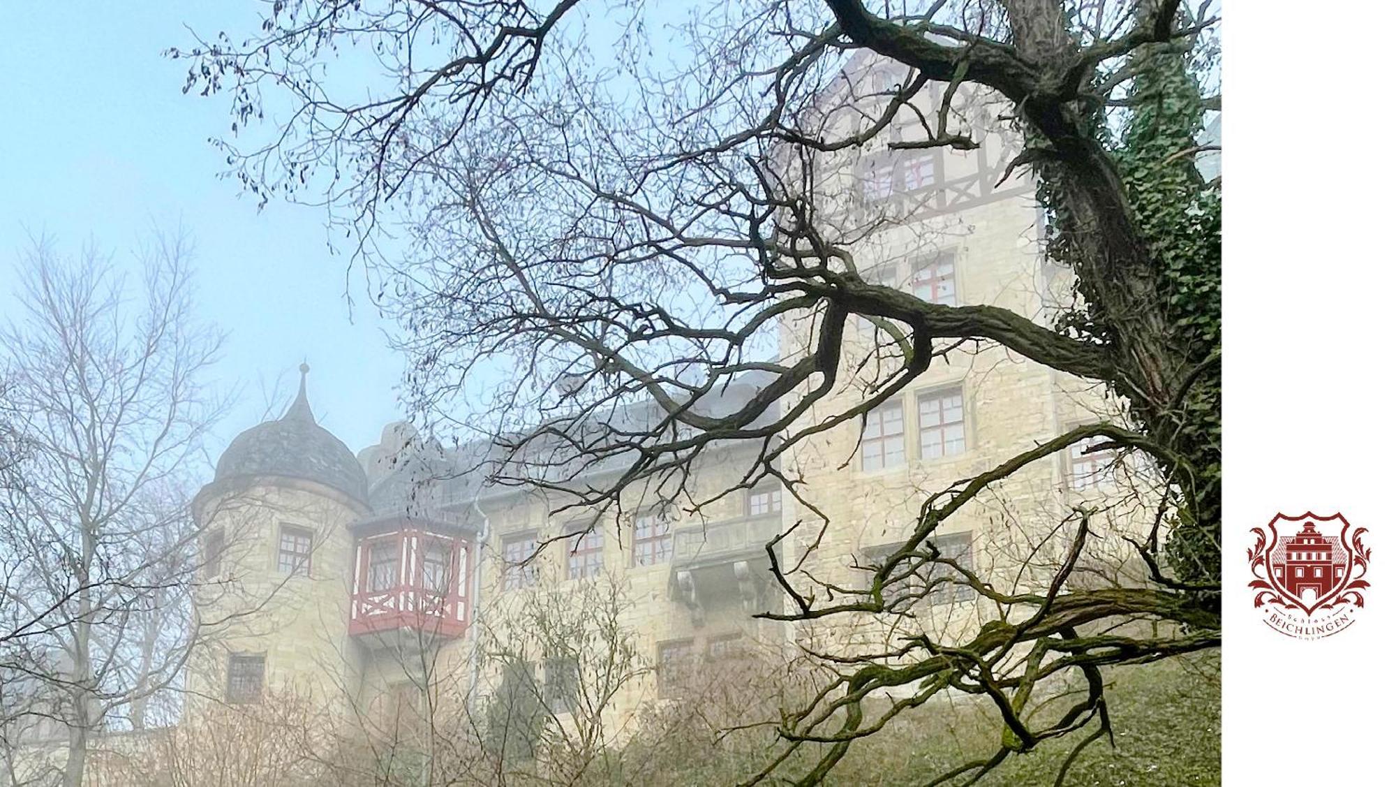 Schloss Beichlingen ภายนอก รูปภาพ